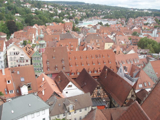 Dachlandschaften